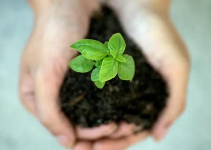 Puerto Antilla Grand Hotel Islantilla Lepe Puerto Antilla Grand Hotel Islantilla Lepe